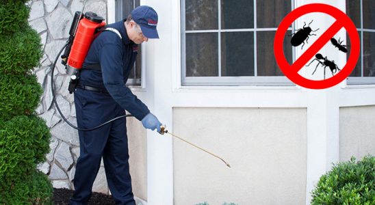 Sinanpaşa Gümüşkurt İlaçlama böcek ilaçlama ve haşere kontrolü — ilaclama-tr.com